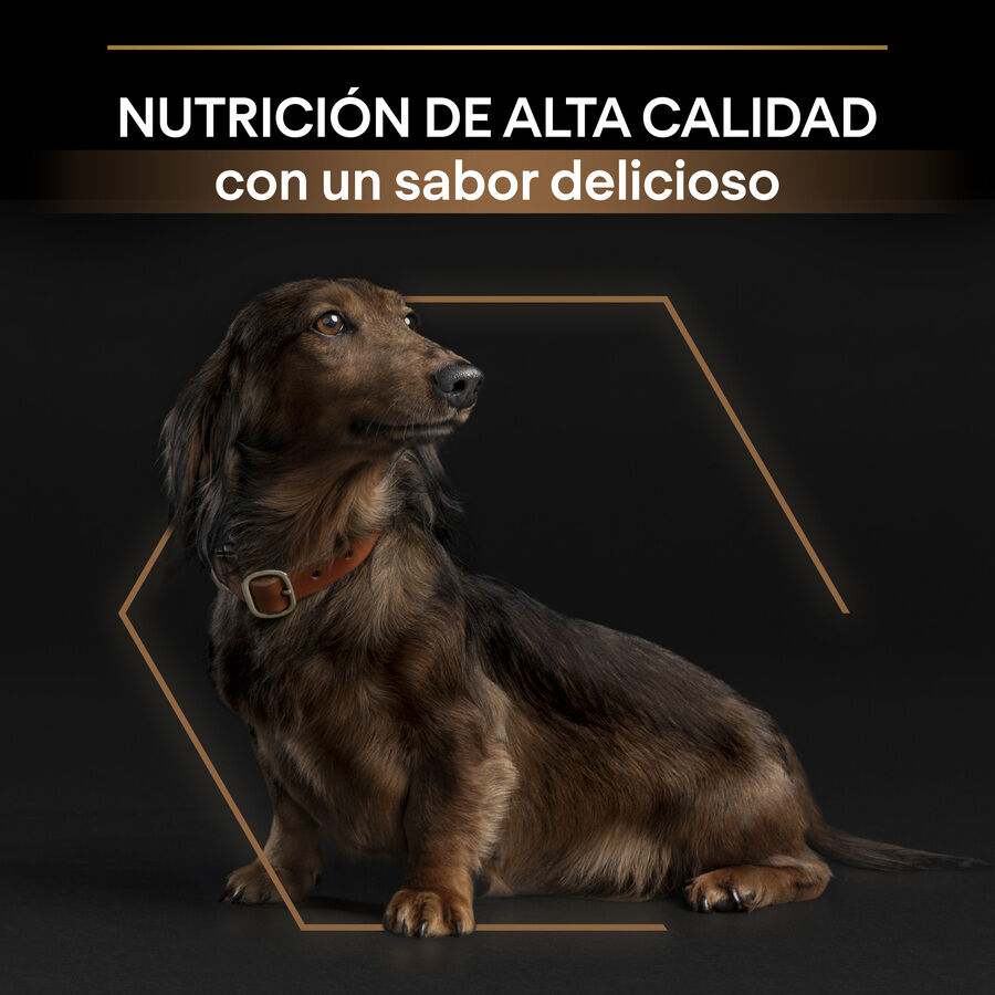 Pro Plan Small & Mini Adult Duo D&eacute;lice Pollo pienso para perros Imagem n&uacute;mero 3